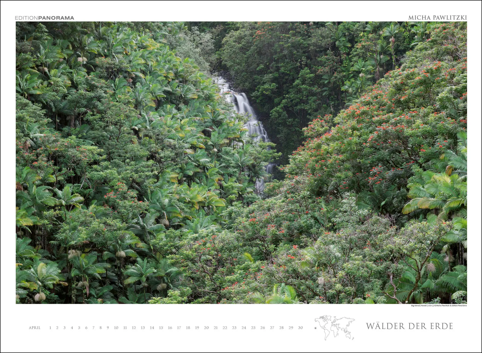 Bild: 9783898236218 | WÄLDER DER ERDE | Immerwährender Kalender im Großformat 80 x 60 cm