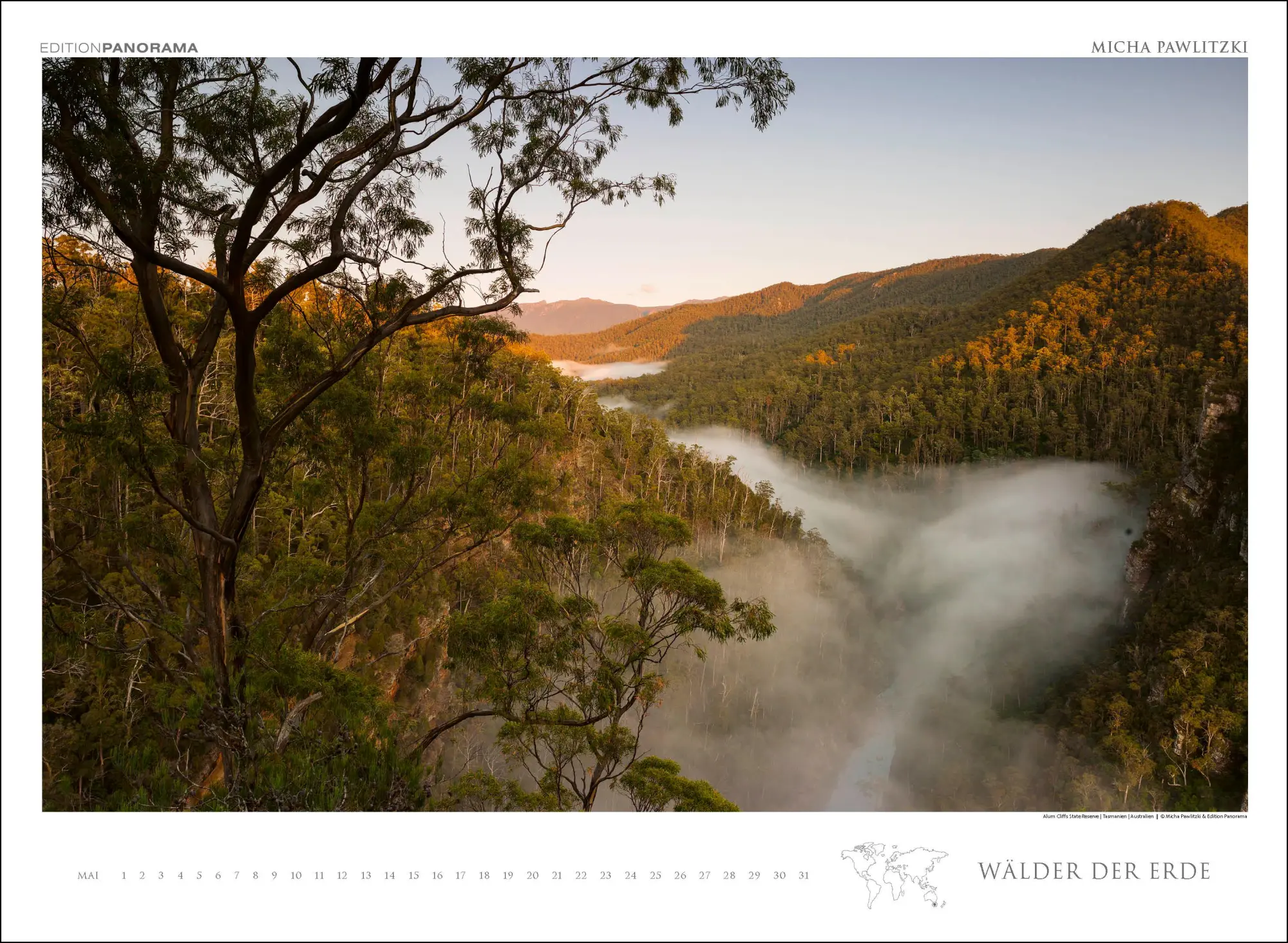 Bild: 9783898236218 | WÄLDER DER ERDE | Immerwährender Kalender im Großformat 80 x 60 cm