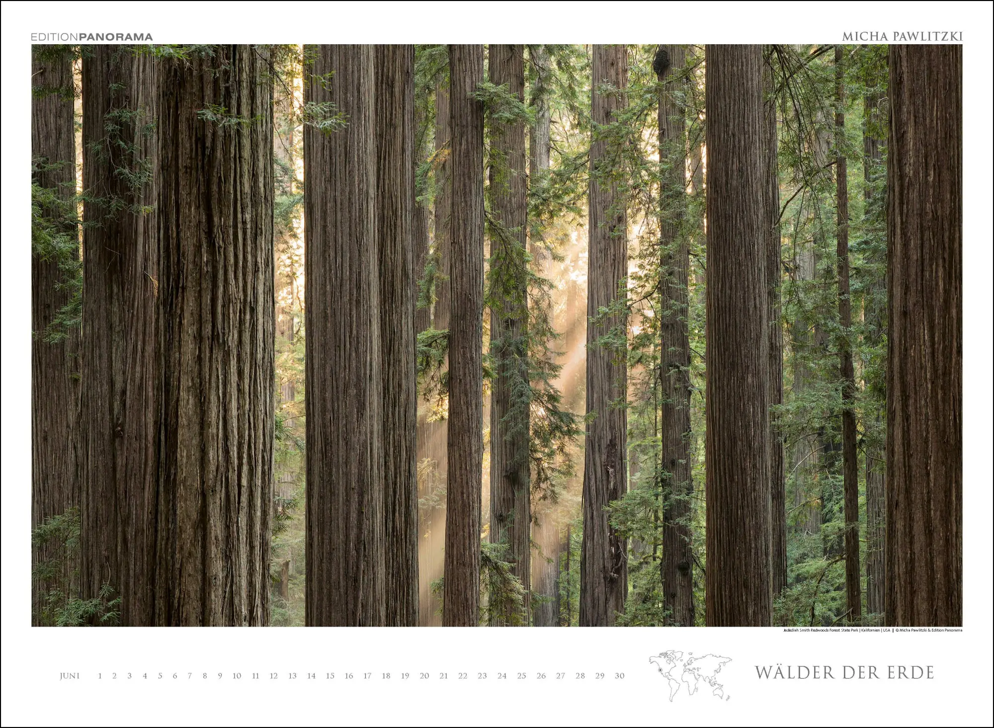 Bild: 9783898236218 | WÄLDER DER ERDE | Immerwährender Kalender im Großformat 80 x 60 cm