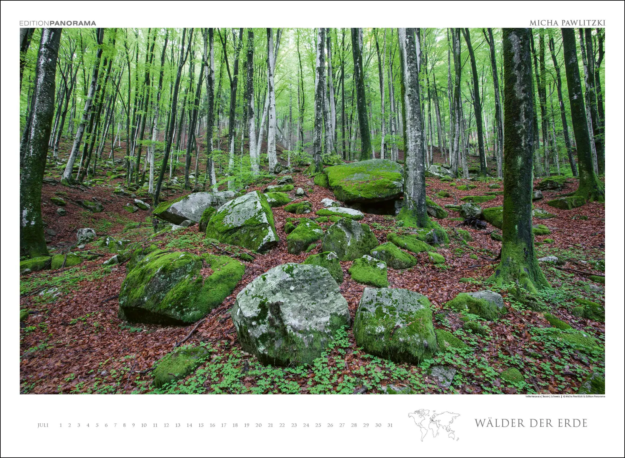 Bild: 9783898236218 | WÄLDER DER ERDE | Immerwährender Kalender im Großformat 80 x 60 cm