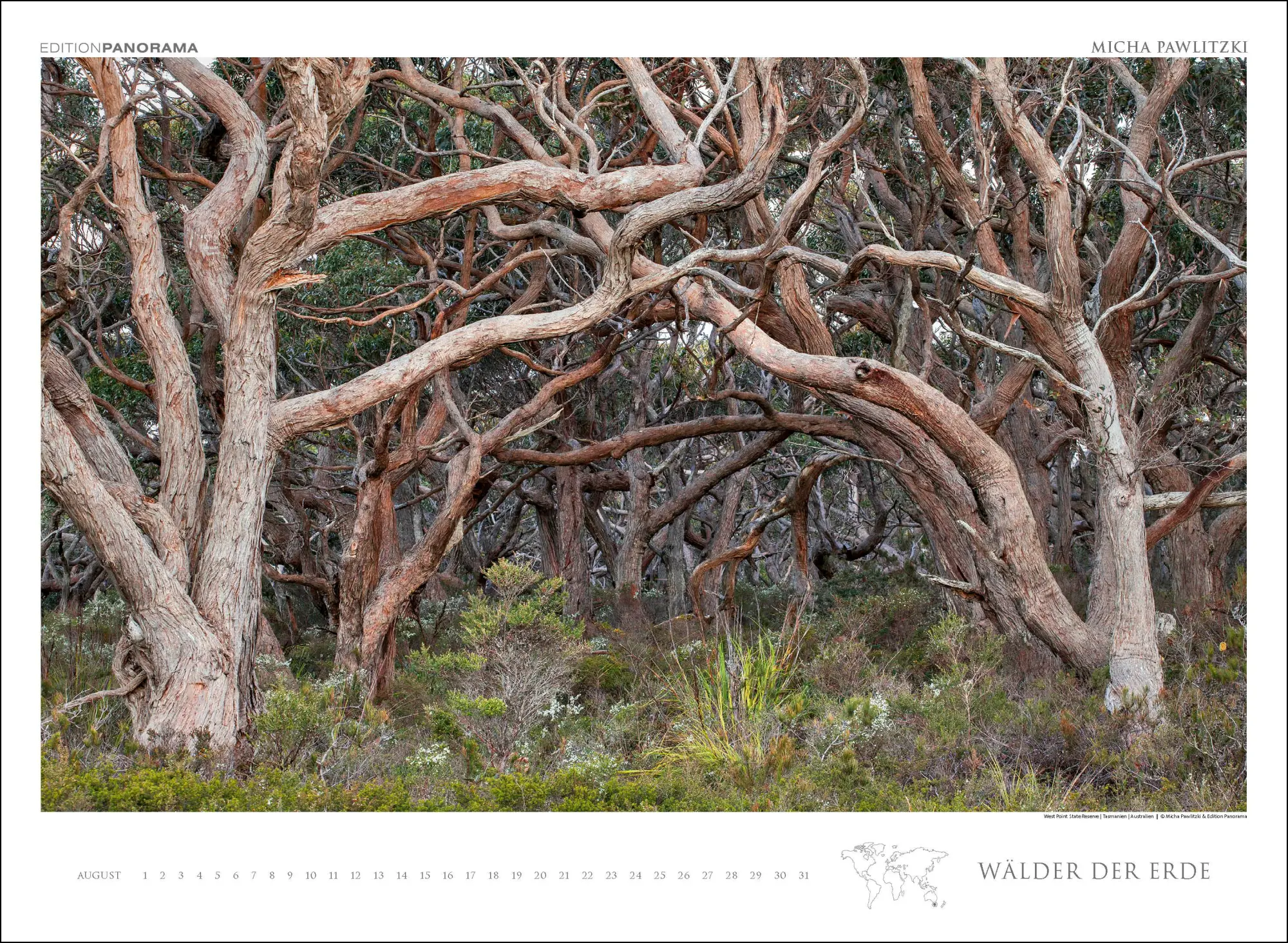 Bild: 9783898236218 | WÄLDER DER ERDE | Immerwährender Kalender im Großformat 80 x 60 cm