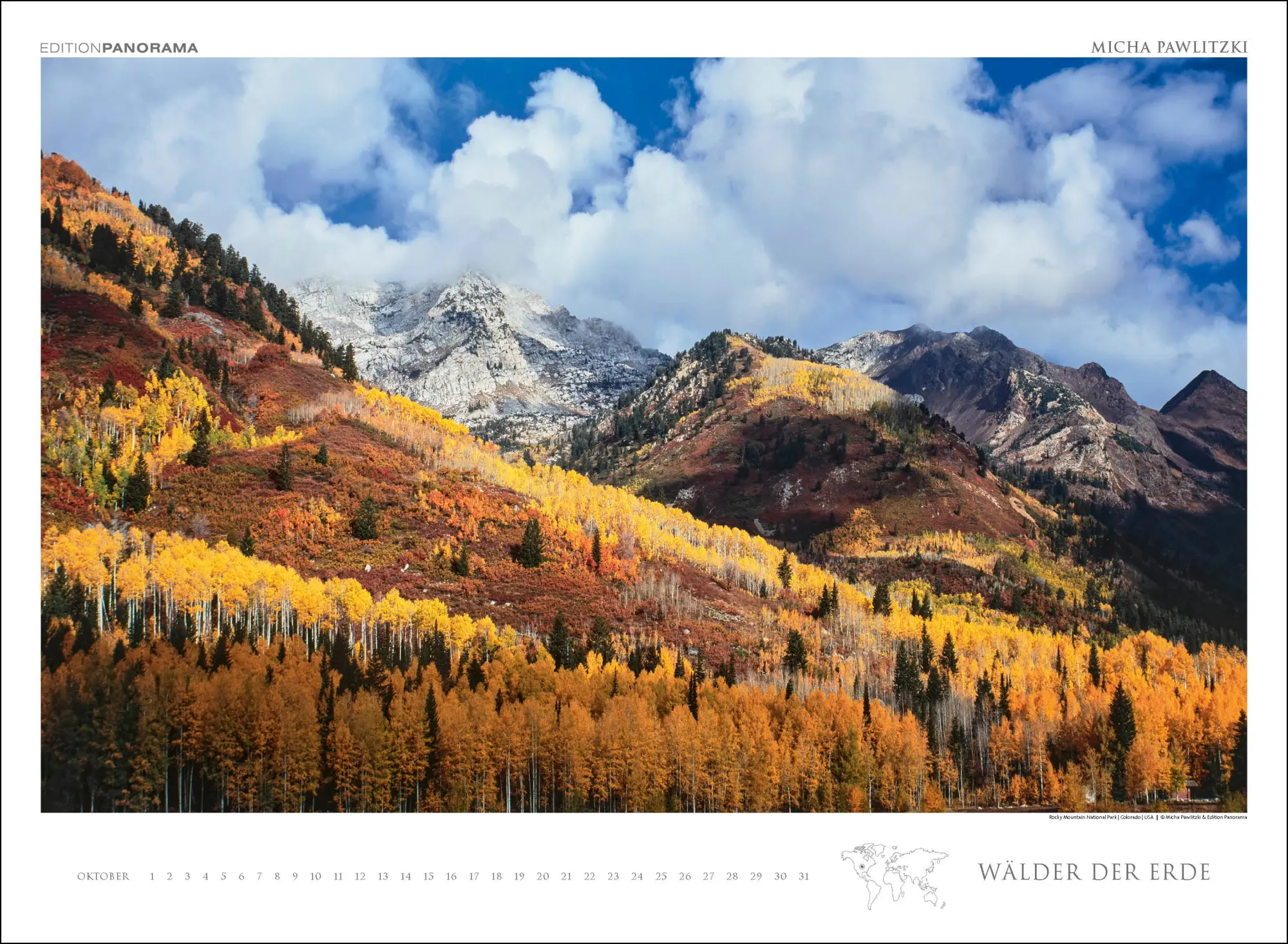 Bild: 9783898236218 | WÄLDER DER ERDE | Immerwährender Kalender im Großformat 80 x 60 cm