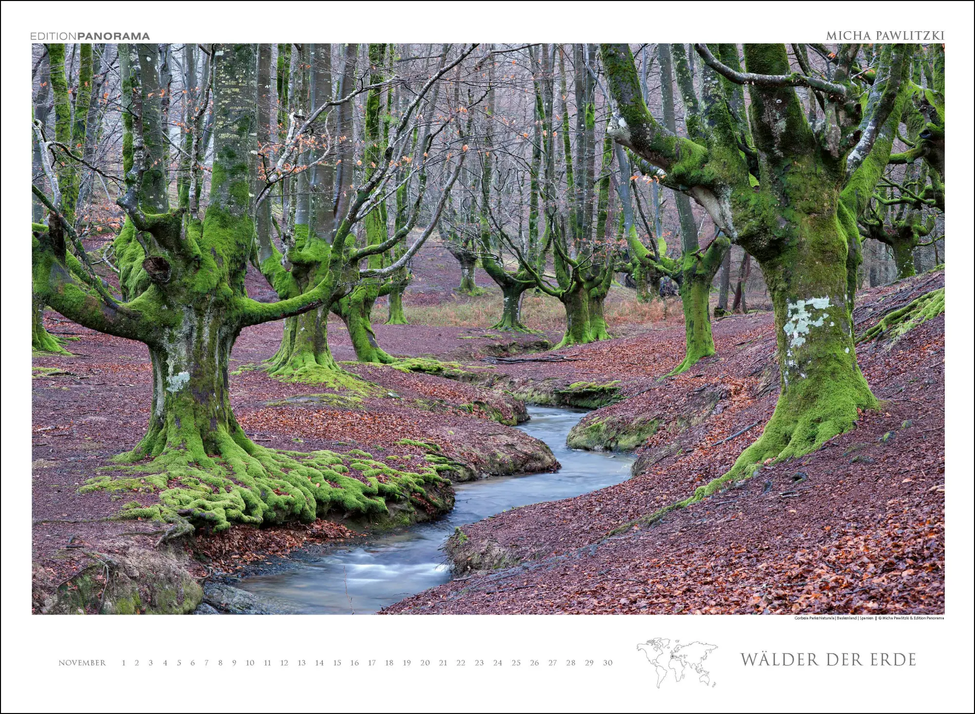 Bild: 9783898236218 | WÄLDER DER ERDE | Immerwährender Kalender im Großformat 80 x 60 cm