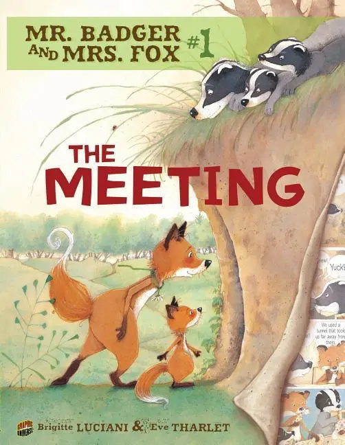 Cover: 9780761356318 | The Meeting | Book 1 | Brigitte Luciani | Taschenbuch | Englisch