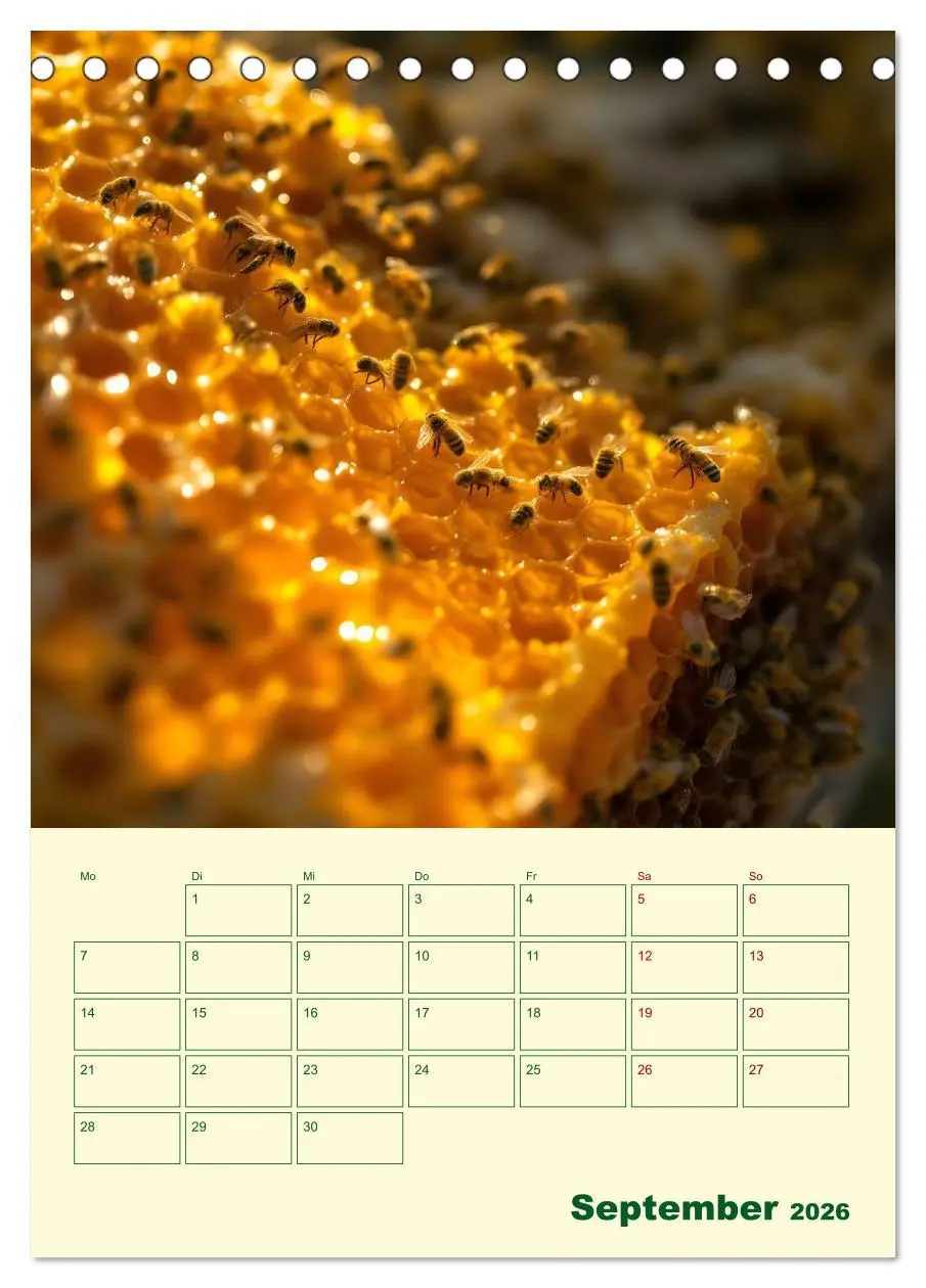 Bild: 9783457296318 | Bienenblick - Ein Jahr mit den Bienen (Tischkalender 2026 DIN A5...