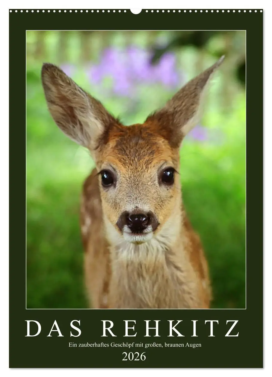 Cover: 9783516386318 | Das Rehkitz, ein zauberhaftes Geschöpf mit großen, braunen Augen...