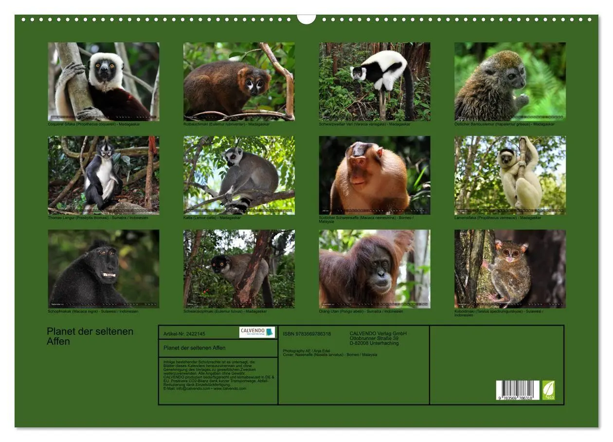 Bild: 9783569786318 | Planet der seltenen Affen (Wandkalender 2027 DIN A2 quer), CALVENDO...