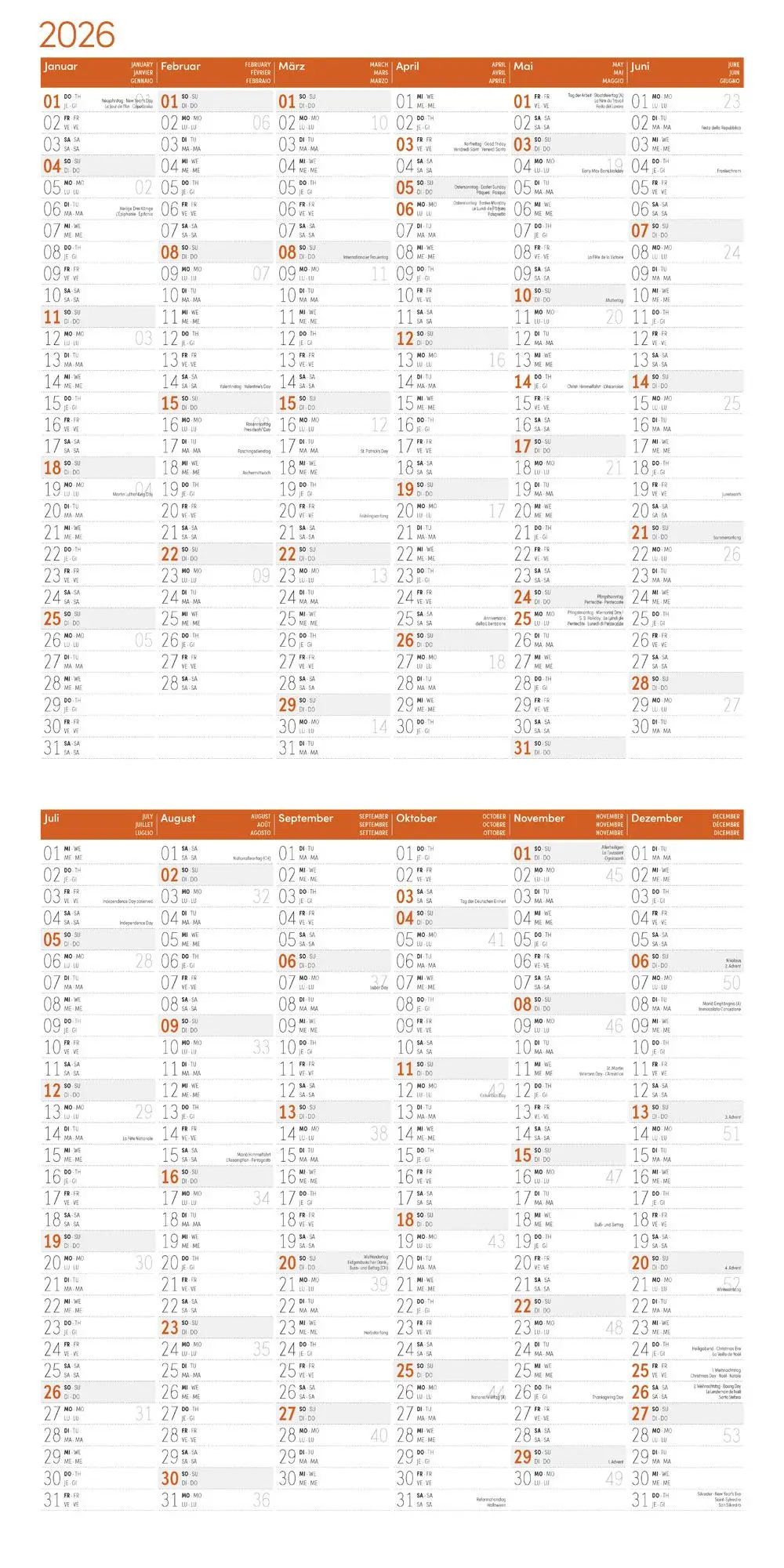 Bild: 9783838446318 | Eichhörnchen Kalender 2026 - 30x30 | Ackermann Kunstverlag GmbH | 2026
