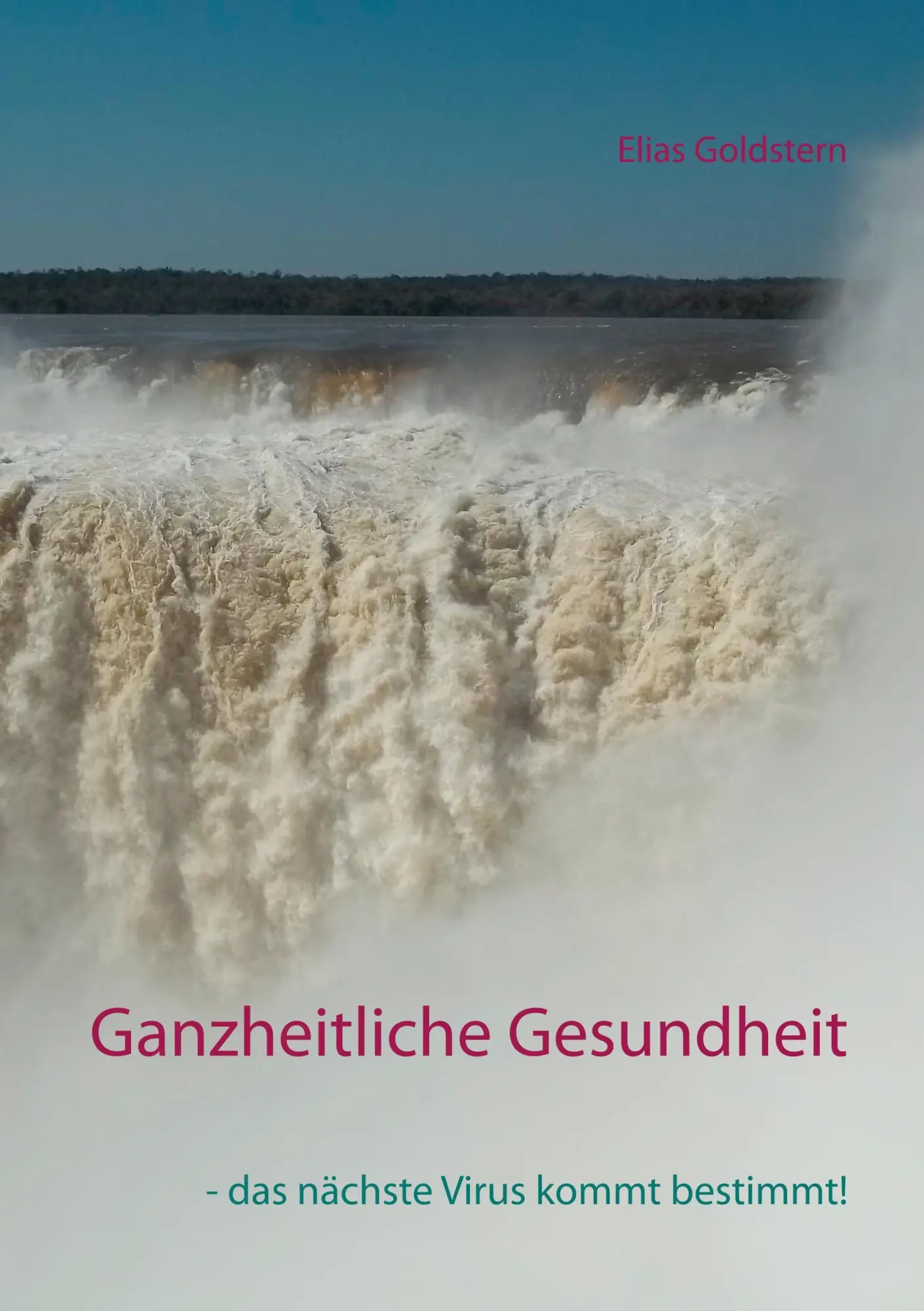 Cover: 9783751906418 | Ganzheitliche Gesundheit | - das nächste Virus kommt bestimmt! | Buch