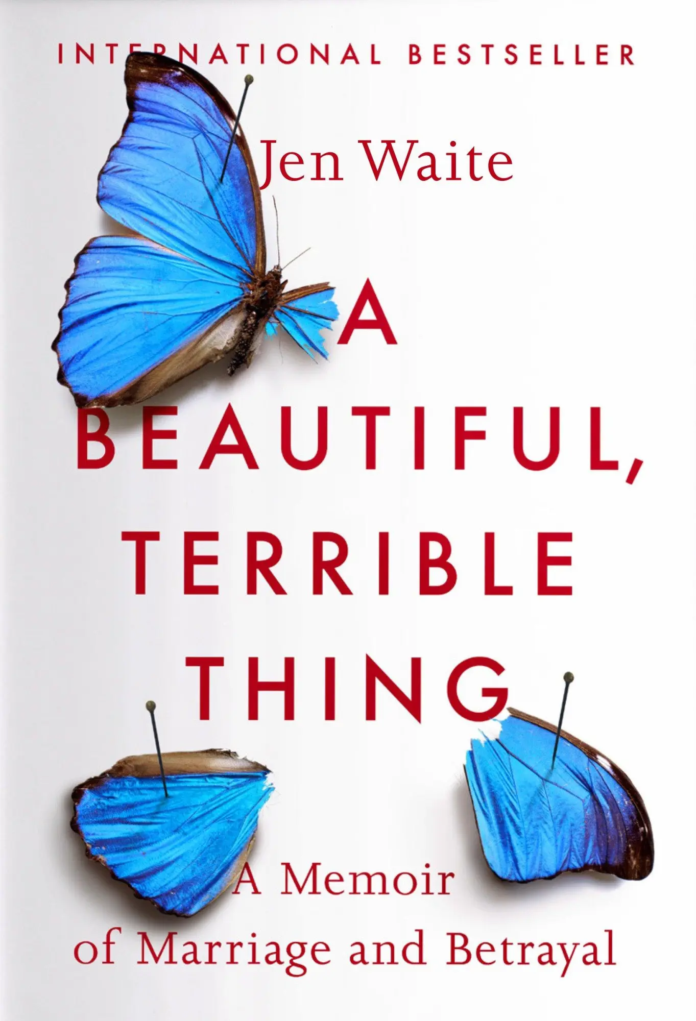 Cover: 9780735216518 | A Beautiful, Terrible Thing | A Memoir of Marriage and Betrayal | Buch