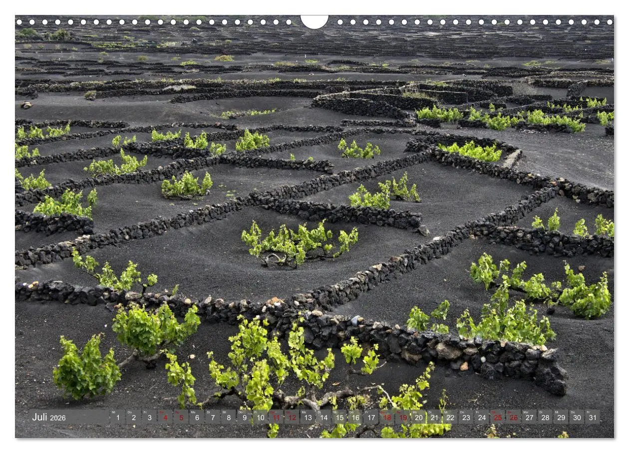 Bild: 9783457586518 | Lanzarote Aus Vulkanen geboren (Wandkalender 2026 DIN A3 quer),...
