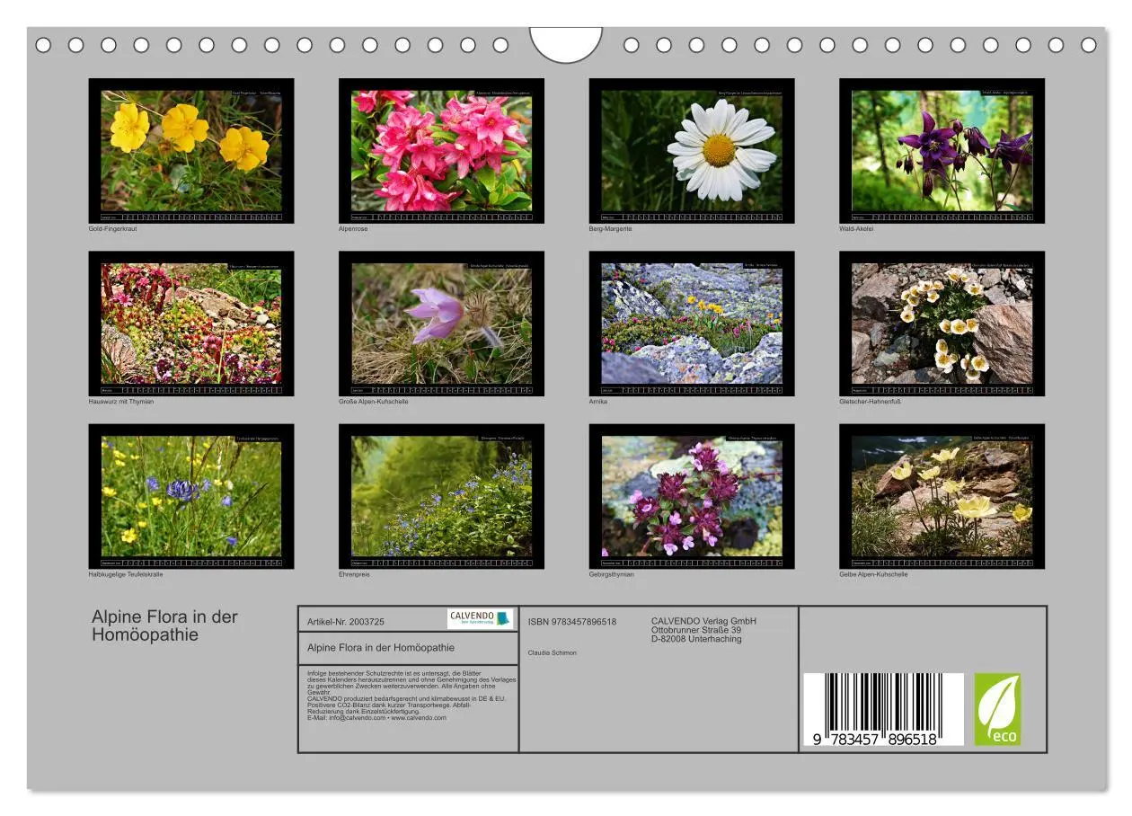Bild: 9783457896518 | Alpine Flora in der Homöopathie (Wandkalender 2026 DIN A4 quer),...