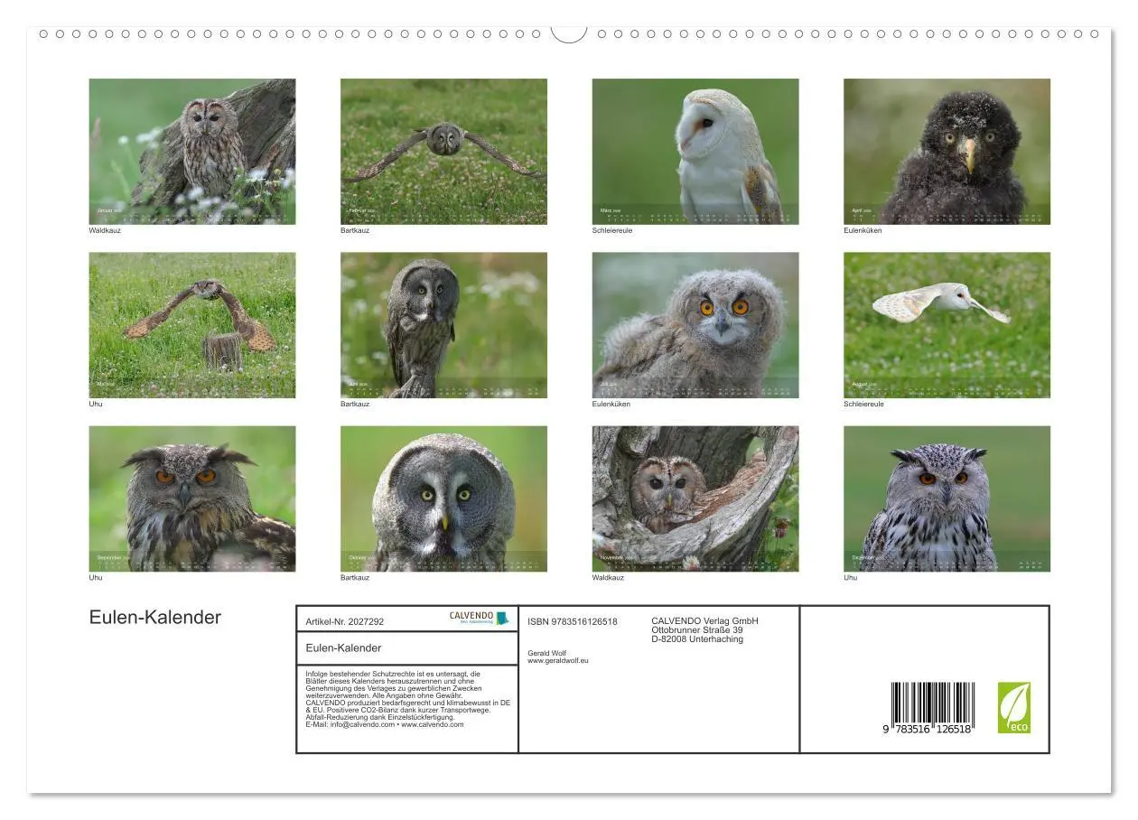 Bild: 9783516126518 | Eulen-Kalender (hochwertiger Premium Wandkalender 2026 DIN A2...