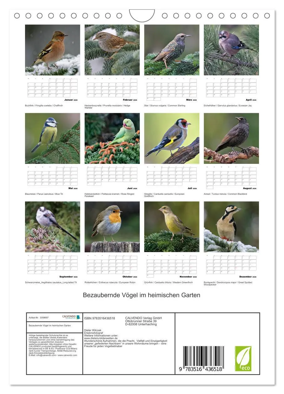 Bild: 9783516436518 | Bezaubernde Vögel im heimischen Garten (Wandkalender 2026 DIN A4...