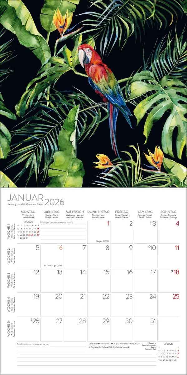 Bild: 9783731886518 | Dschungelfieber 2026 | Verlag Korsch | Kalender | 13 S. | Deutsch
