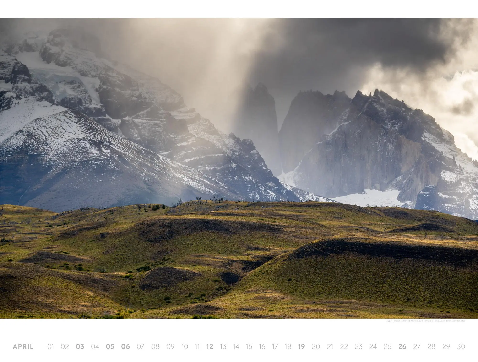 Bild: 9783838426518 | Freiraum Kalender 2026 | Ackermann Kunstverlag GmbH | Kalender | 14 S.