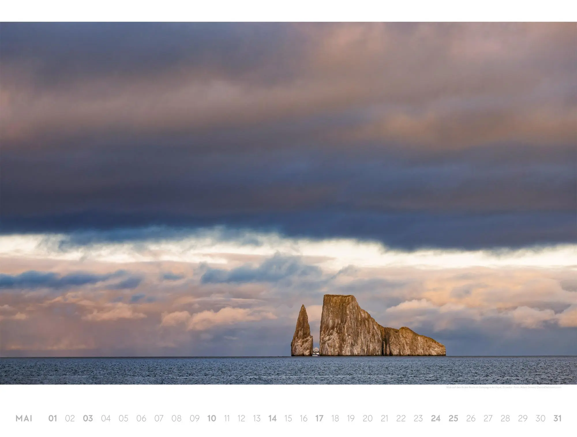 Bild: 9783838426518 | Freiraum Kalender 2026 | Ackermann Kunstverlag GmbH | Kalender | 14 S.