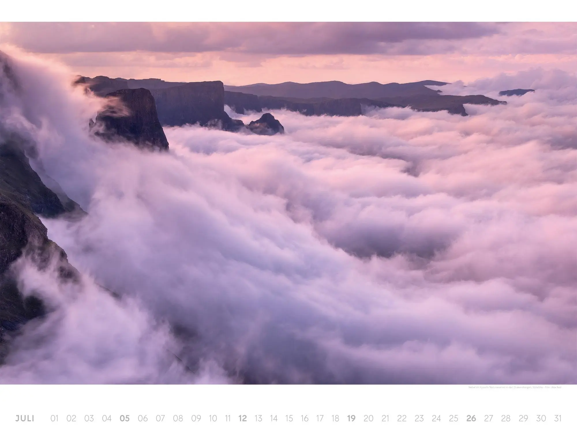 Bild: 9783838426518 | Freiraum Kalender 2026 | Ackermann Kunstverlag GmbH | Kalender | 14 S.