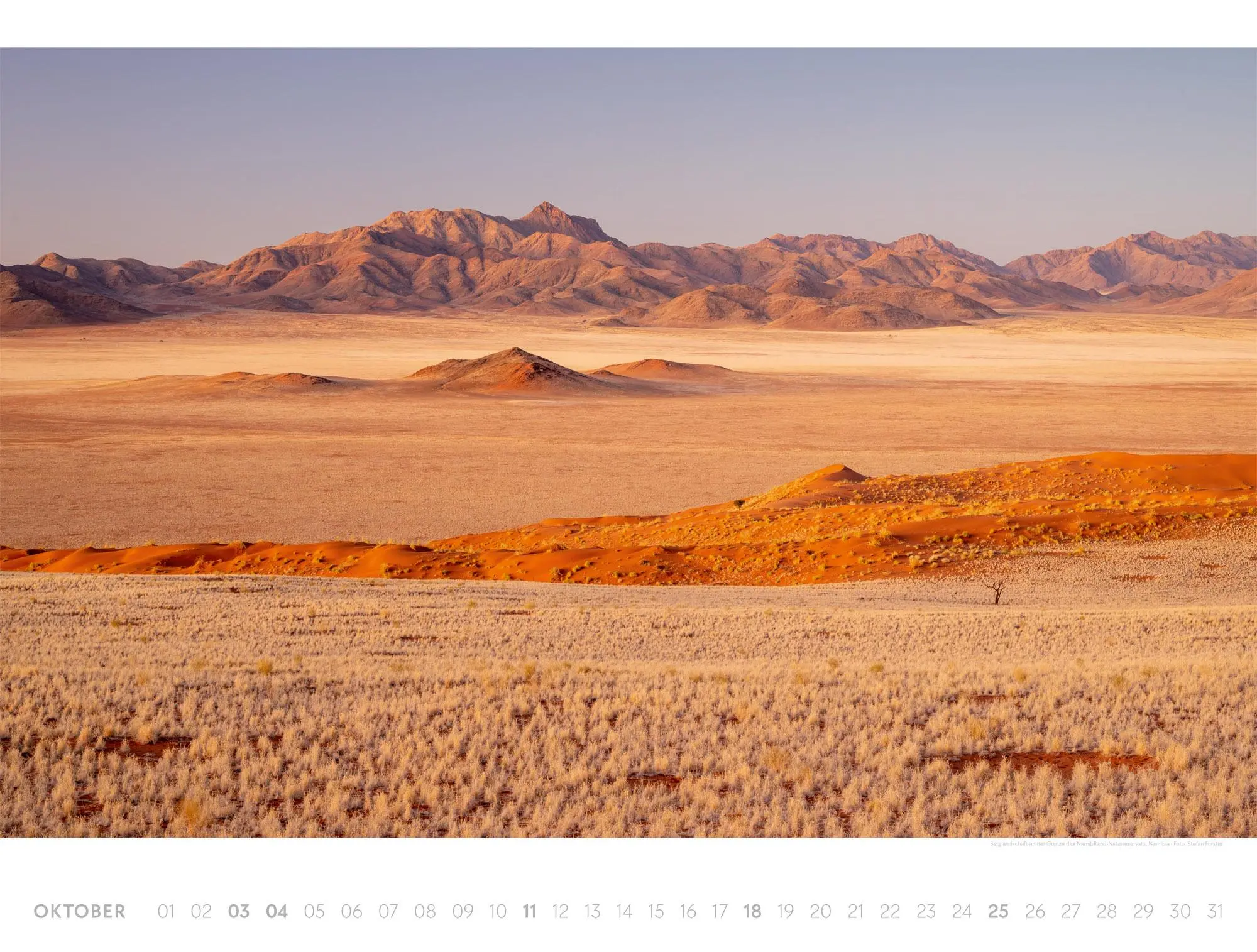Bild: 9783838426518 | Freiraum Kalender 2026 | Ackermann Kunstverlag GmbH | Kalender | 14 S.