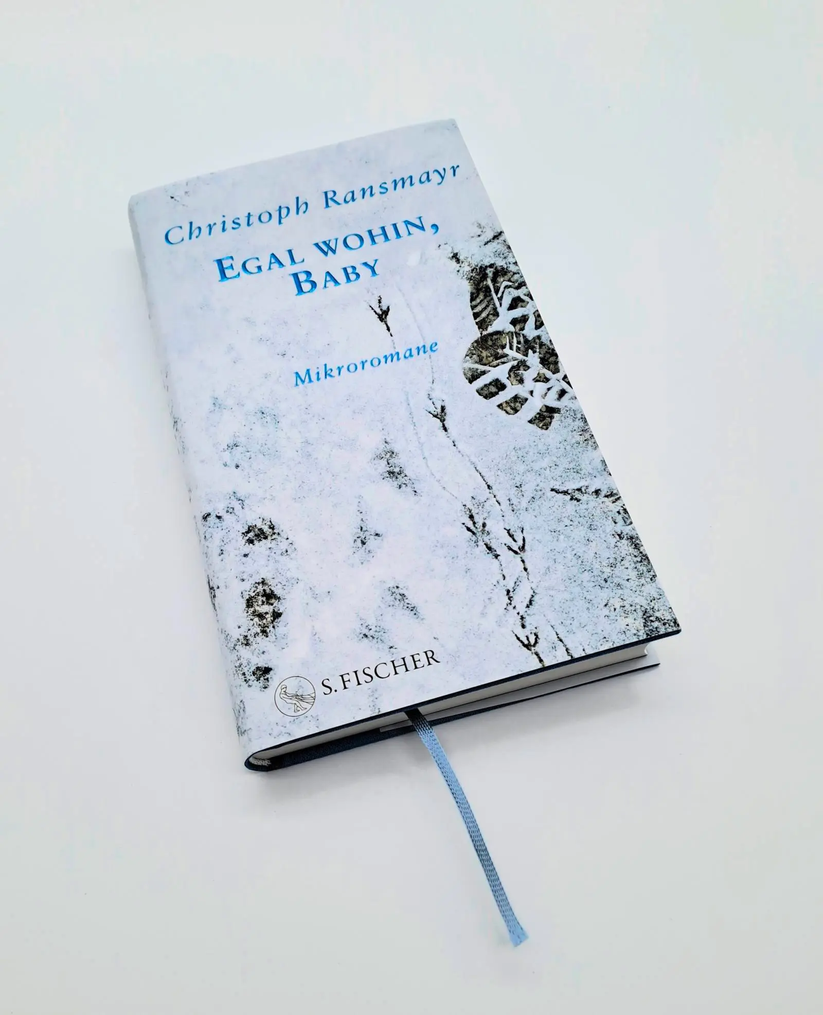 Bild: 9783103976618 | Egal wohin, Baby | Mikroromane | Christoph Ransmayr | Buch | 256 S.