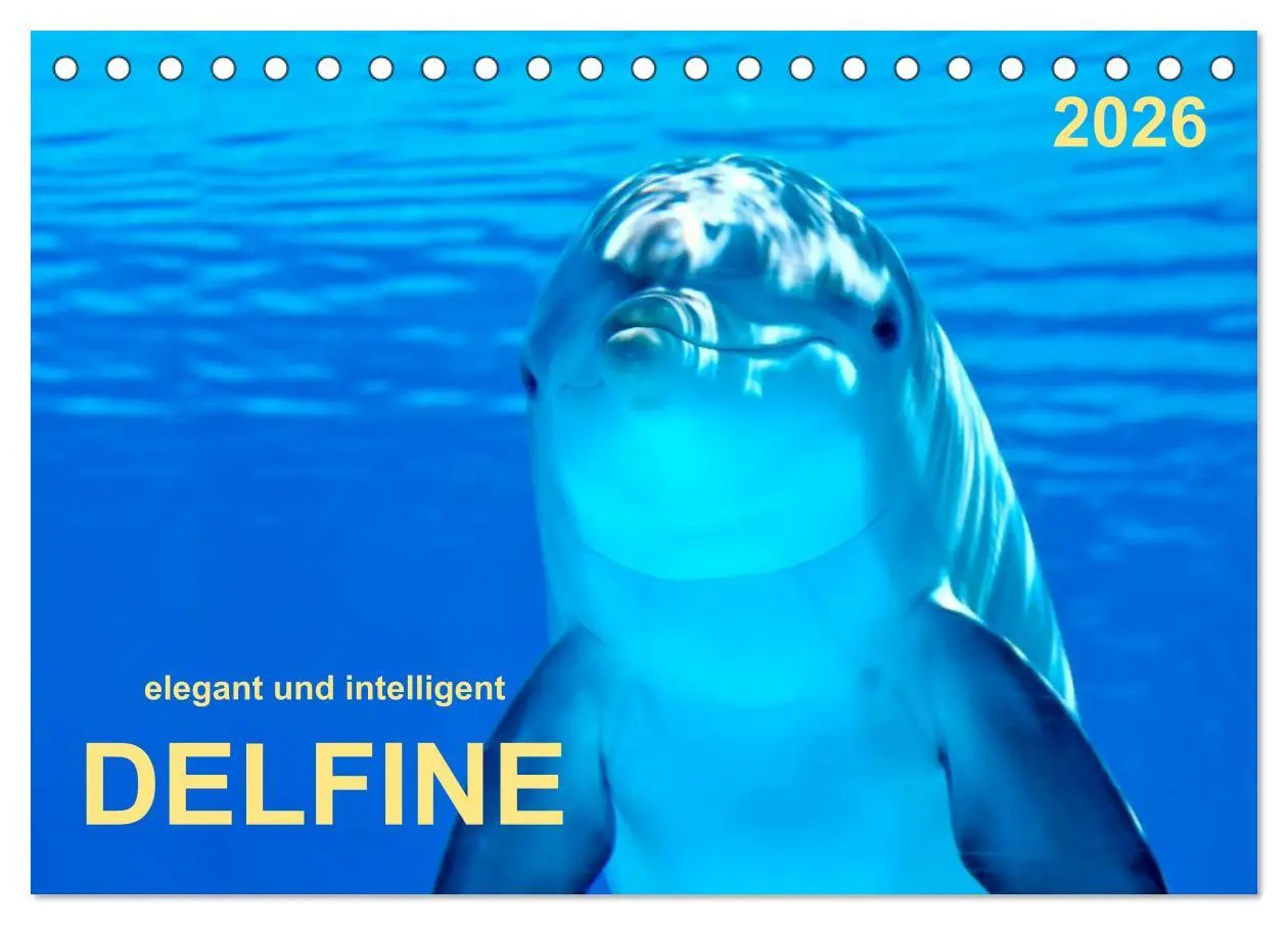 Cover: 9783516046618 | Delfine - elegant und intelligent (Tischkalender 2026 DIN A5 quer),...