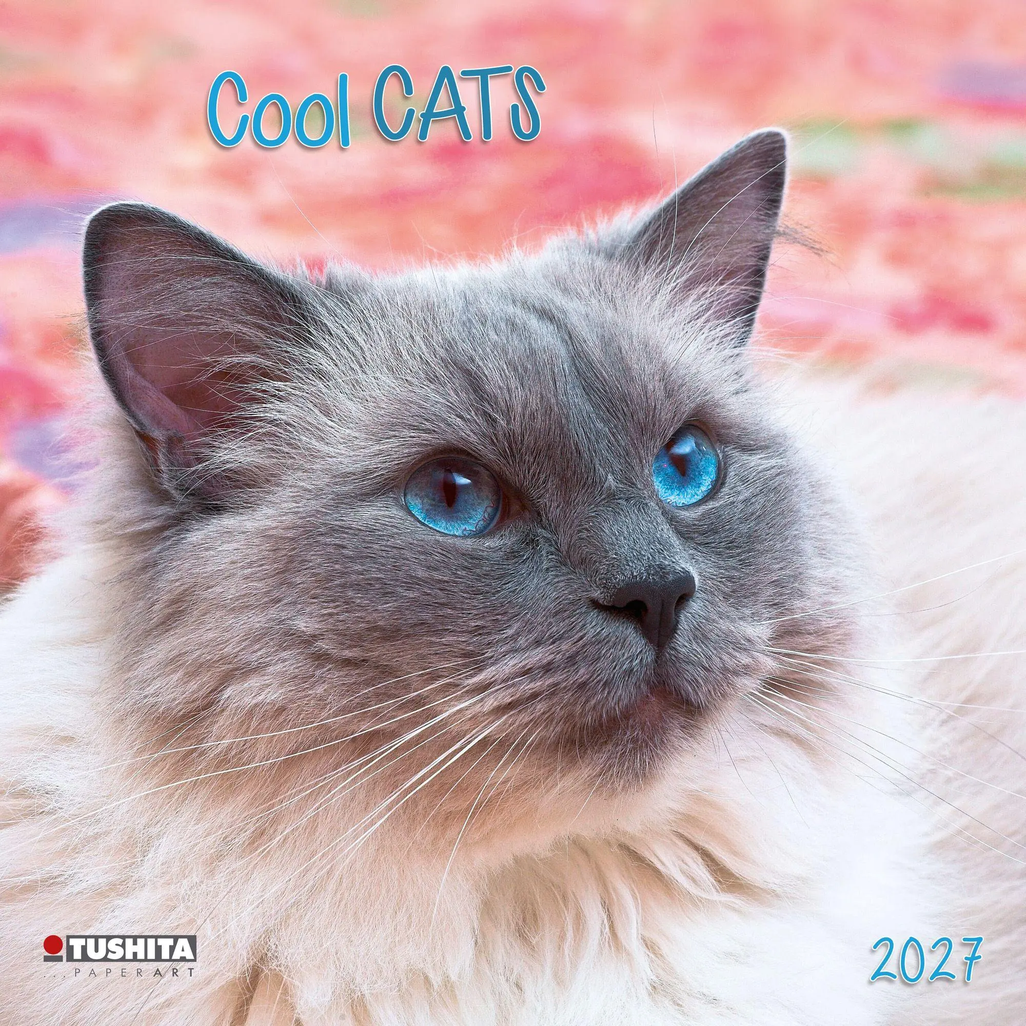 Cover: 9783959296618 | Cool Cats 2027 | Kalender 2027 | Kalender | Wonderful World | 28 S.