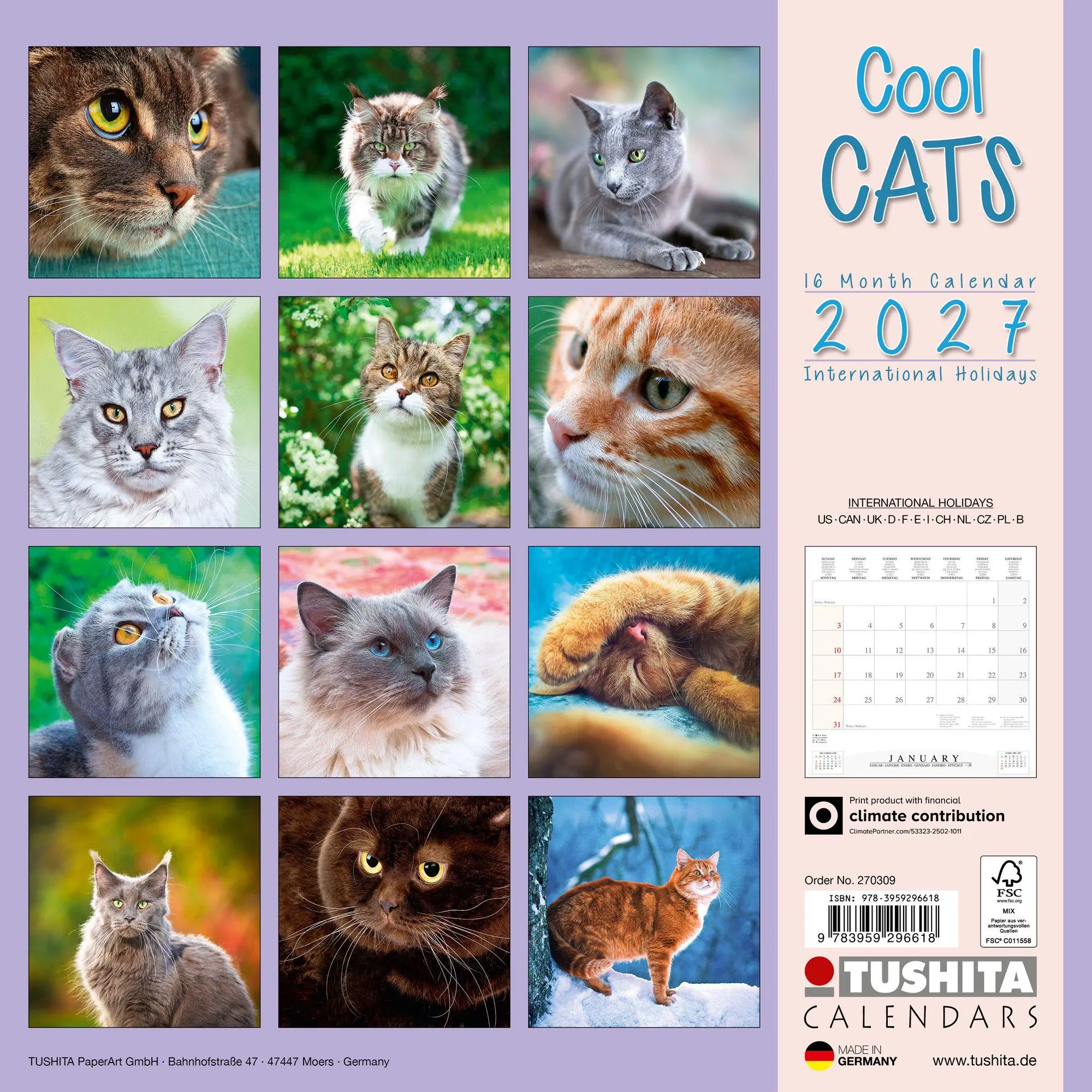 Rückseite: 9783959296618 | Cool Cats 2027 | Kalender 2027 | Kalender | Wonderful World | 28 S.