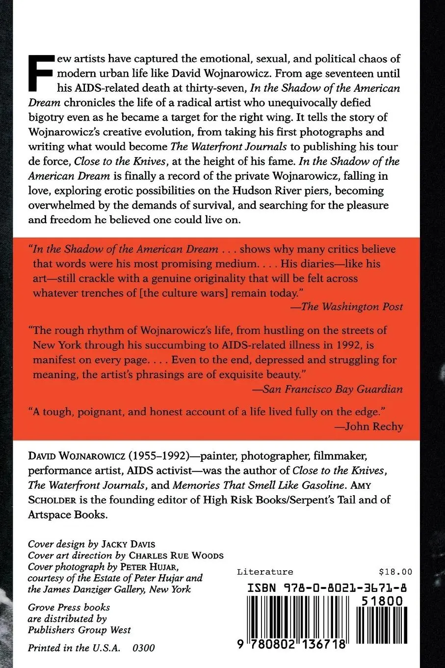 Rückseite: 9780802136718 | In the Shadow of the American Dream | The Diaries of David Wojnarowicz