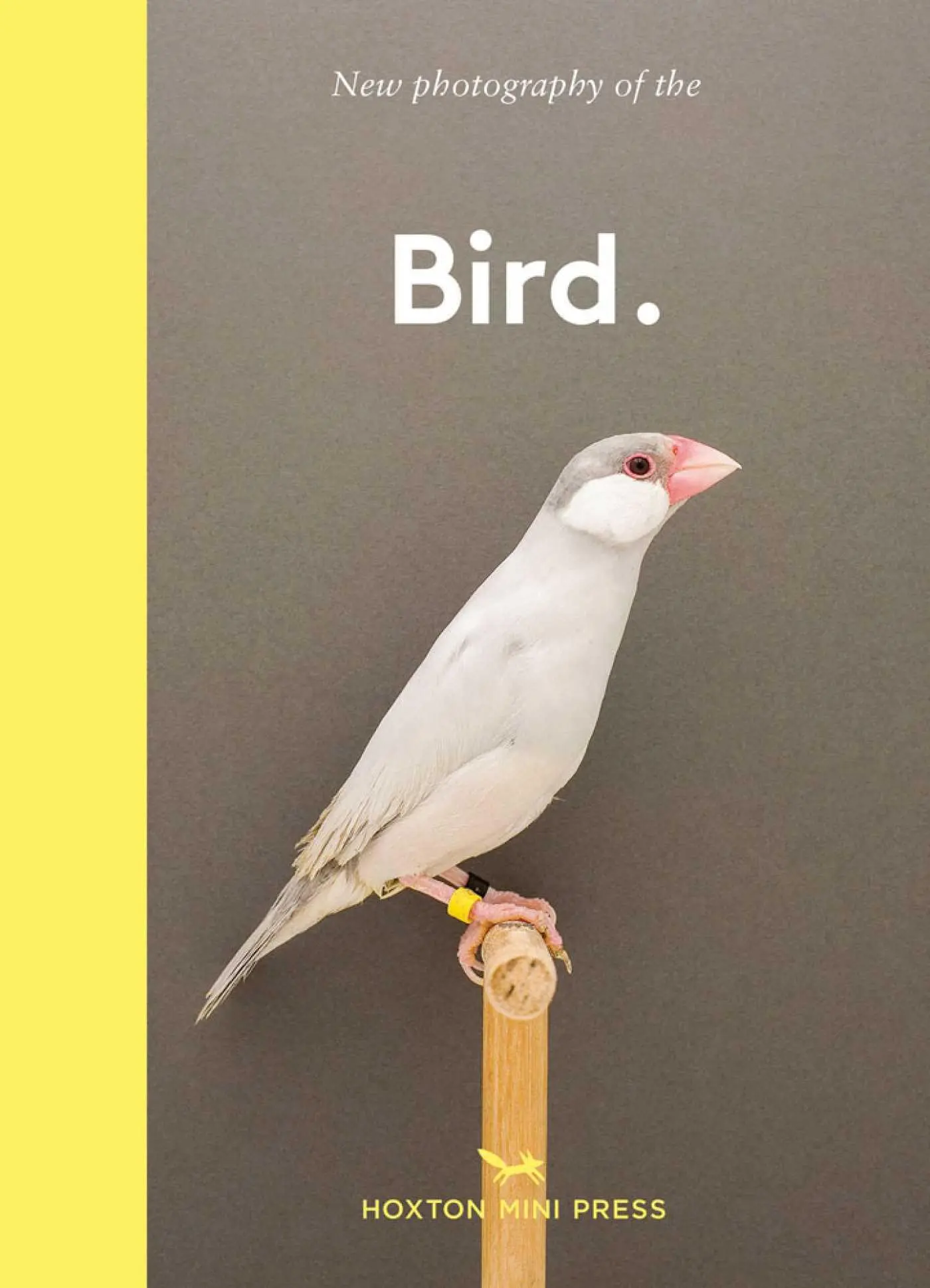 Cover: 9781910566718 | New Photography of the Bird | Gemma Padly | Buch | Gebunden | Englisch