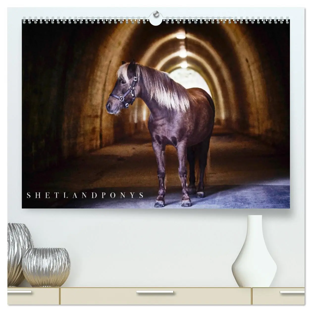 Cover: 9783457706718 | Shetlandpony Kalender (hochwertiger Premium Wandkalender 2026 DIN...