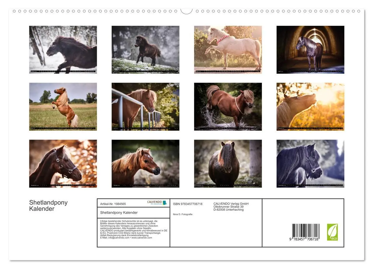 Bild: 9783457706718 | Shetlandpony Kalender (hochwertiger Premium Wandkalender 2026 DIN...