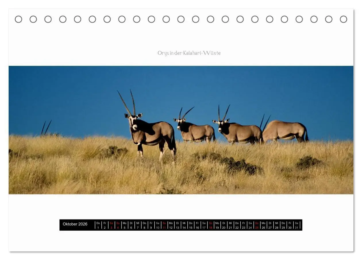 Bild: 9783516036718 | Namibia - Panoramen (Tischkalender 2026 DIN A5 quer), CALVENDO...