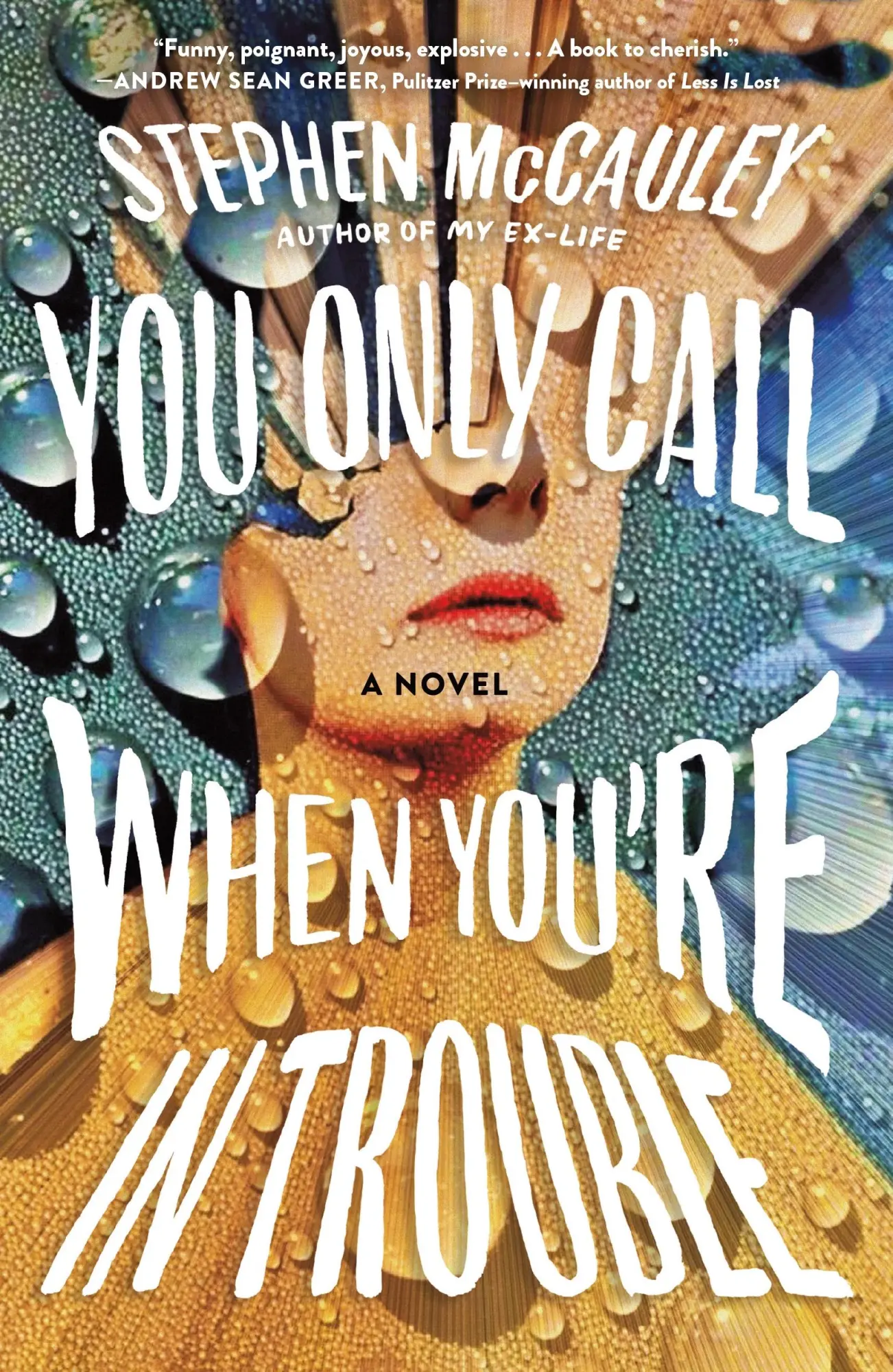 Cover: 9781250296818 | You Only Call When You're in Trouble | A Novel | Stephen McCauley
