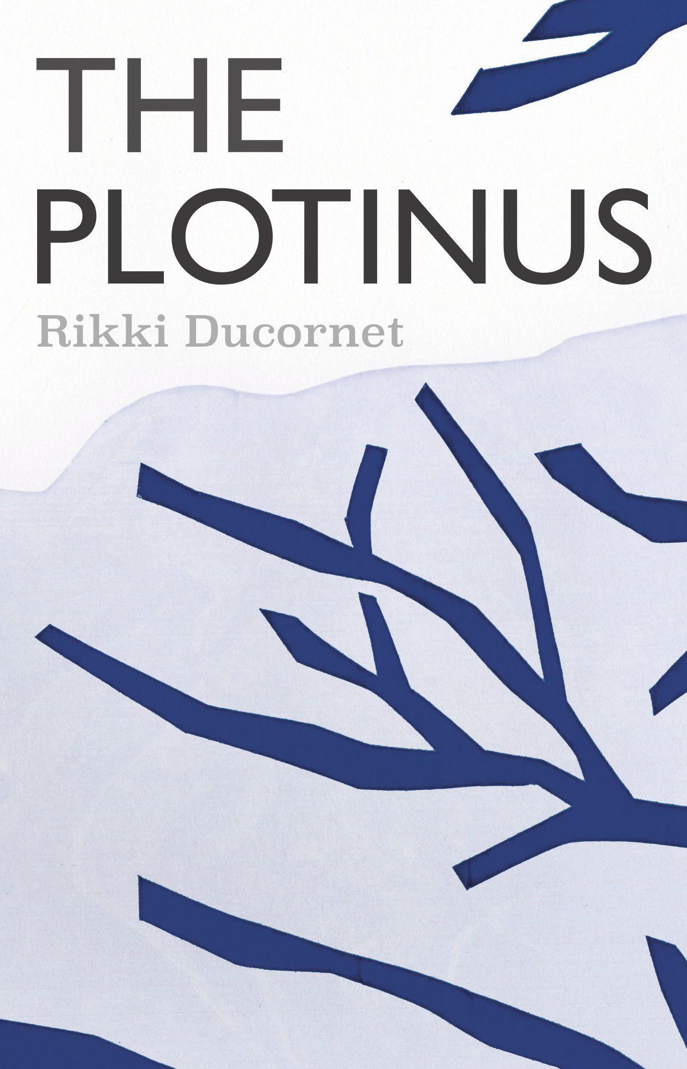 Cover: 9781566896818 | The Plotinus | Rikki Ducornet | Taschenbuch | Kartoniert / Broschiert