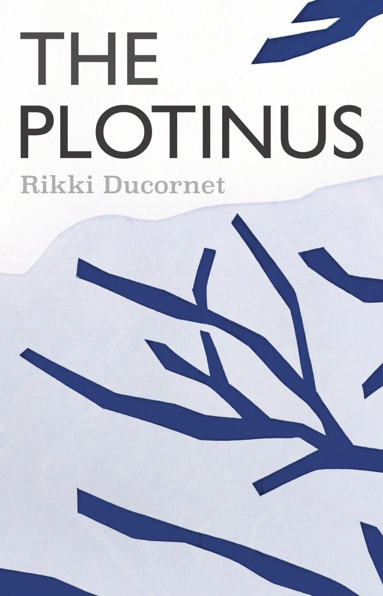 Cover: 9781566896818 | The Plotinus | Rikki Ducornet | Taschenbuch | Kartoniert / Broschiert