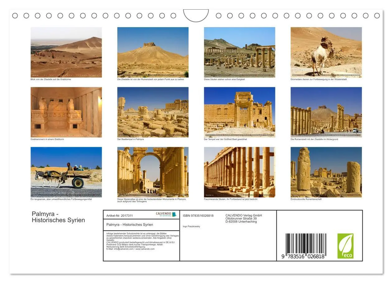 Bild: 9783516026818 | Palmyra - Historisches Syrien (Wandkalender 2026 DIN A4 quer),...