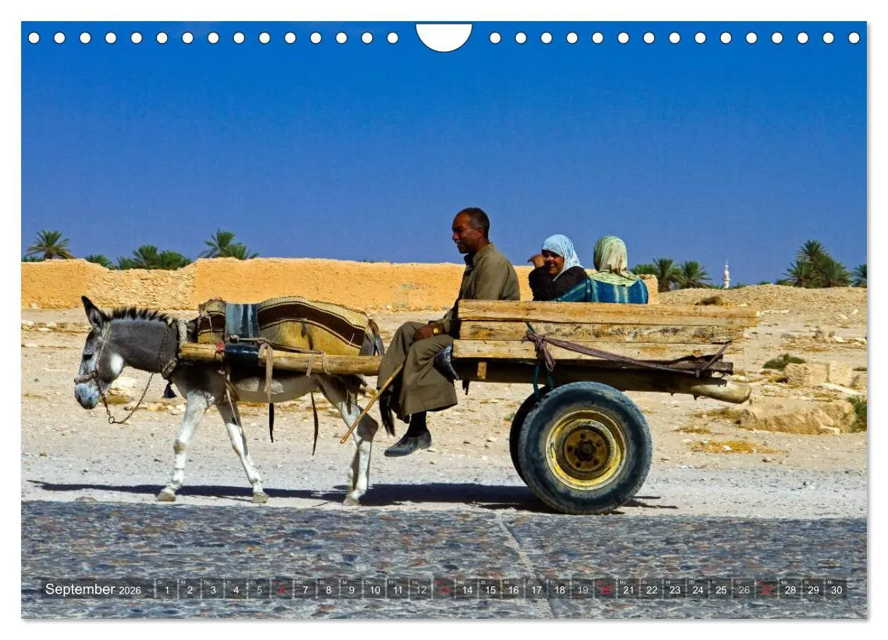 Bild: 9783516026818 | Palmyra - Historisches Syrien (Wandkalender 2026 DIN A4 quer),...