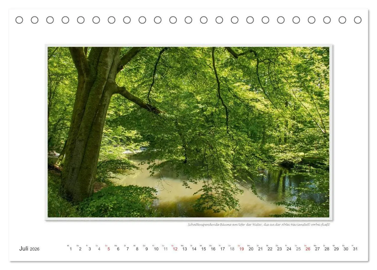 Bild: 9783516196818 | Emotionale Momente: Abtei Marienstatt im Westerwald (Tischkalender...