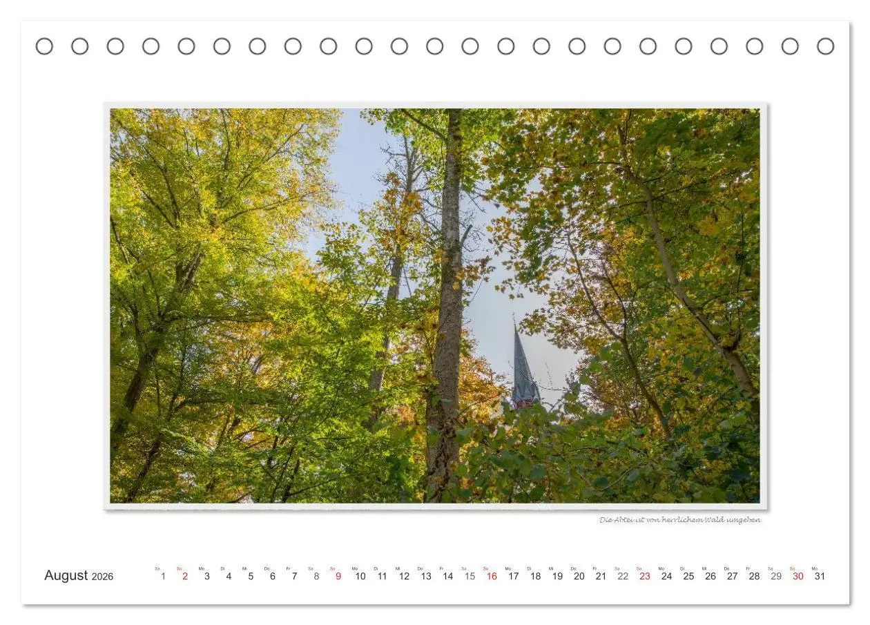 Bild: 9783516196818 | Emotionale Momente: Abtei Marienstatt im Westerwald (Tischkalender...