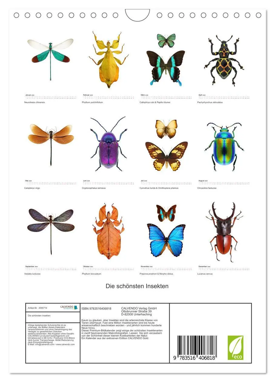 Bild: 9783516406818 | Die schönsten Insekten (Wandkalender 2026 DIN A4 hoch), CALVENDO...