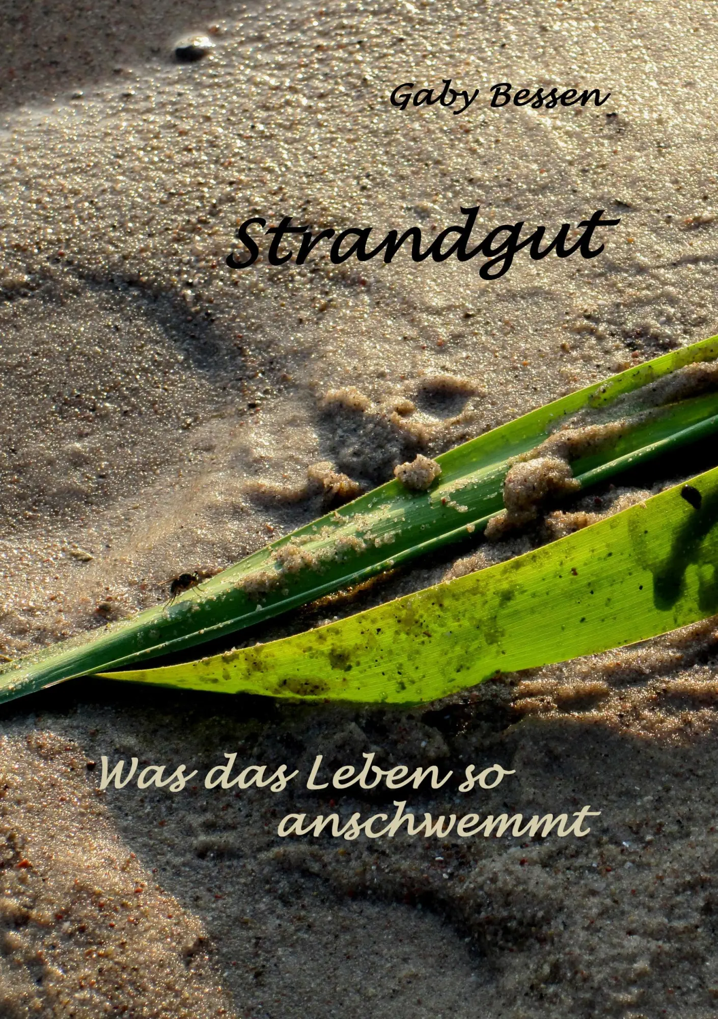 Cover: 9783746016818 | Strandgut | Was der Tag so anschwemmt | Gaby Bessen | Taschenbuch