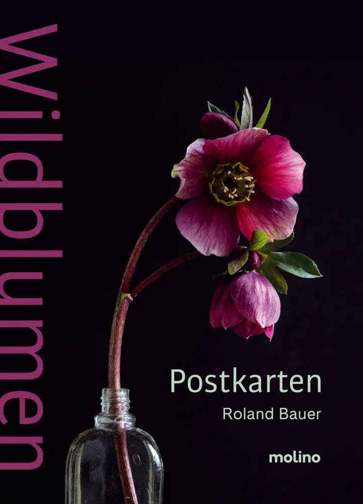 Cover: 9783948696818 | Wildblumen | Roland Bauer | Broschüre | 20 S. | Deutsch | 2024