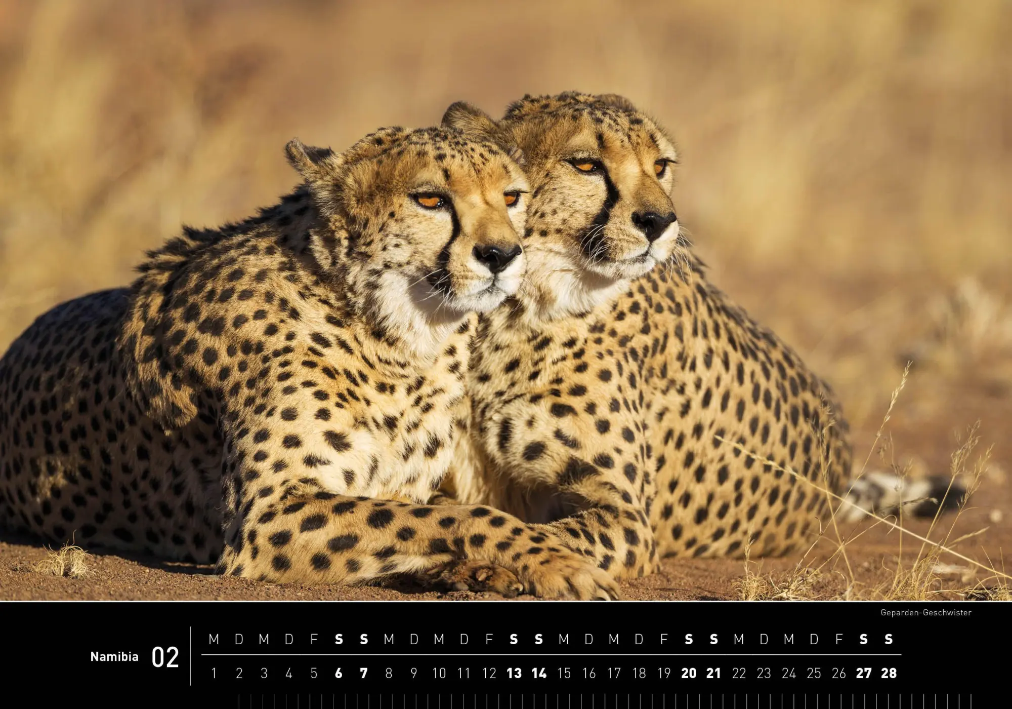 Bild: 9783968556918 | Namibia Premiumkalender 2027 | Thomas Dressler | Kalender | 14 S.