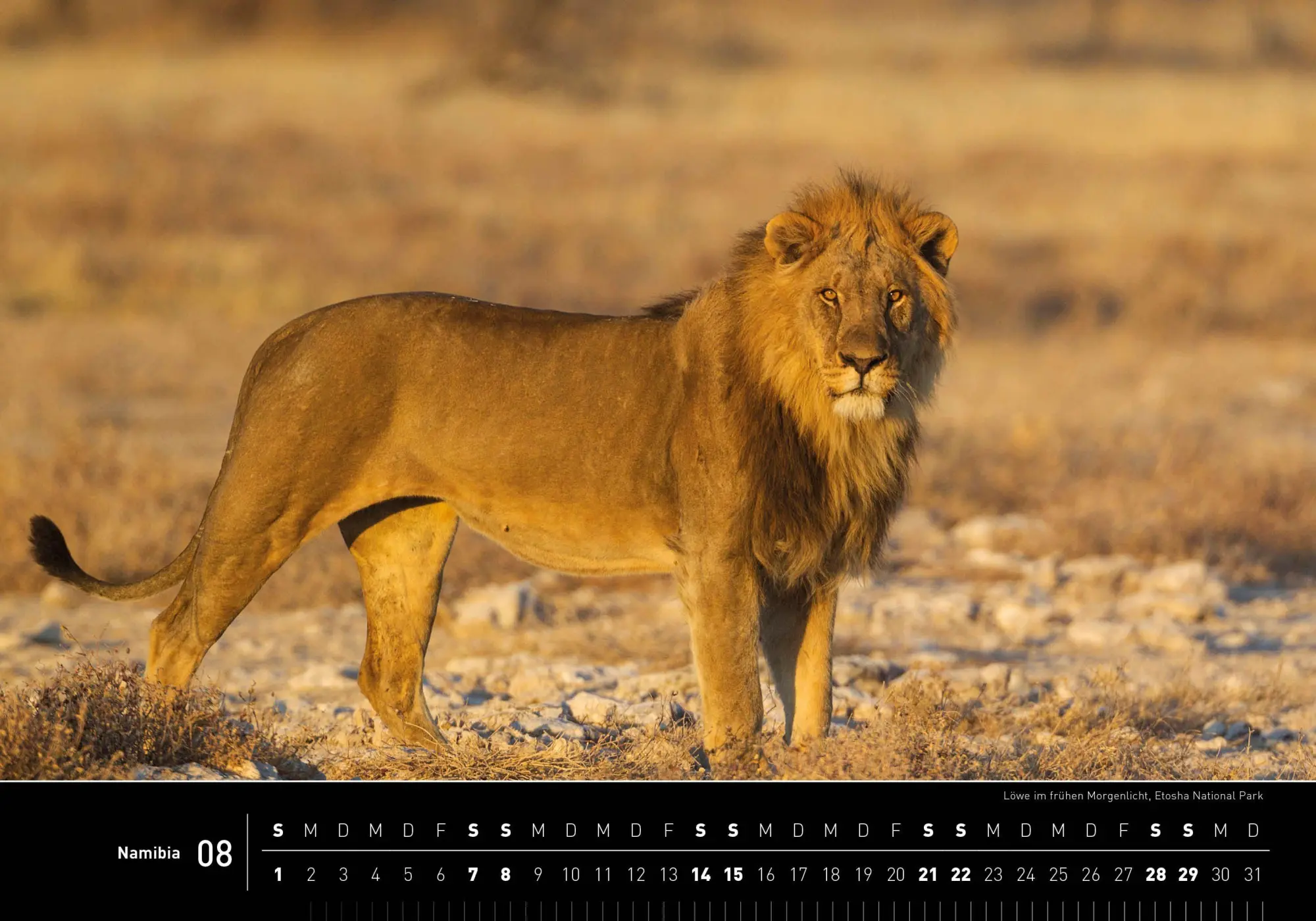 Bild: 9783968556918 | Namibia Premiumkalender 2027 | Thomas Dressler | Kalender | 14 S.