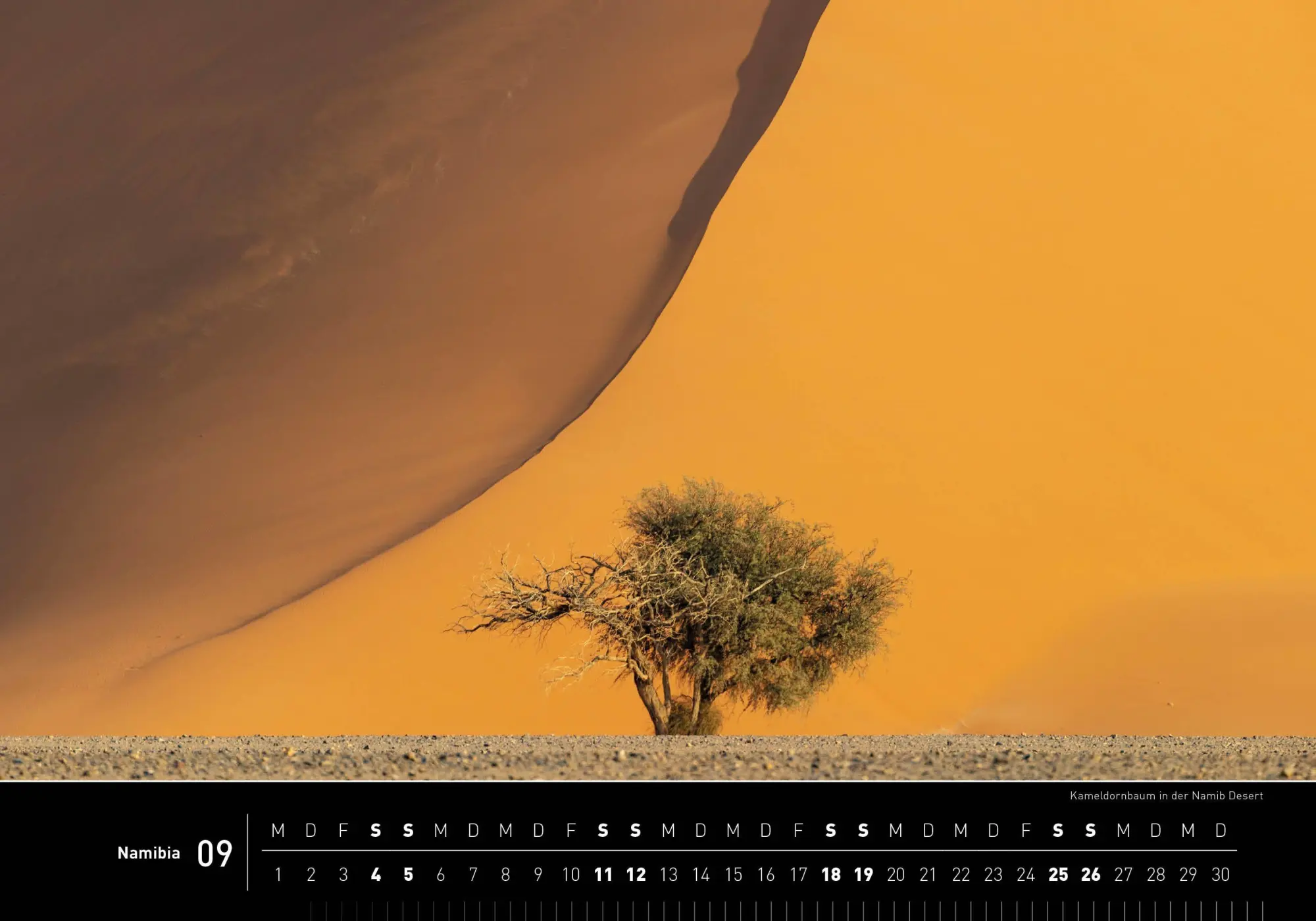 Bild: 9783968556918 | Namibia Premiumkalender 2027 | Thomas Dressler | Kalender | 14 S.