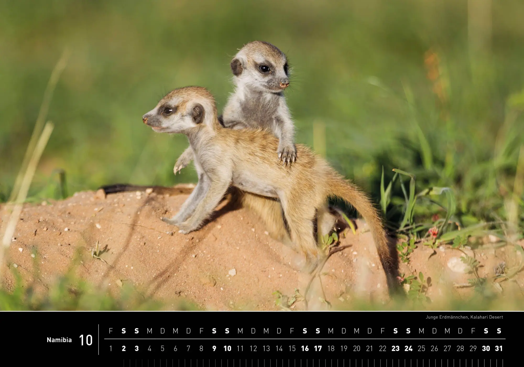 Bild: 9783968556918 | Namibia Premiumkalender 2027 | Thomas Dressler | Kalender | 14 S.