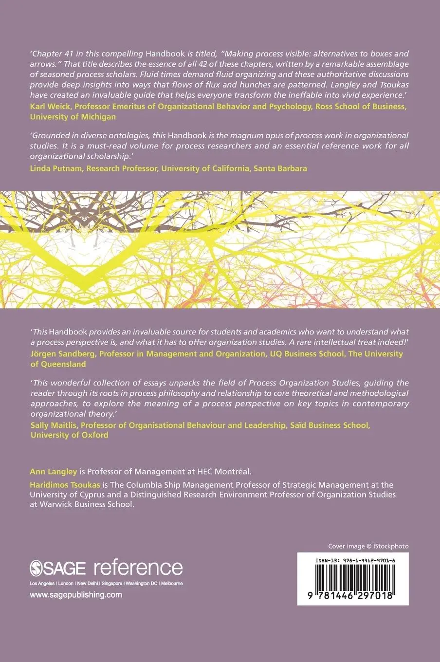 Rückseite: 9781446297018 | The SAGE Handbook of Process Organization Studies | Langley (u. a.)