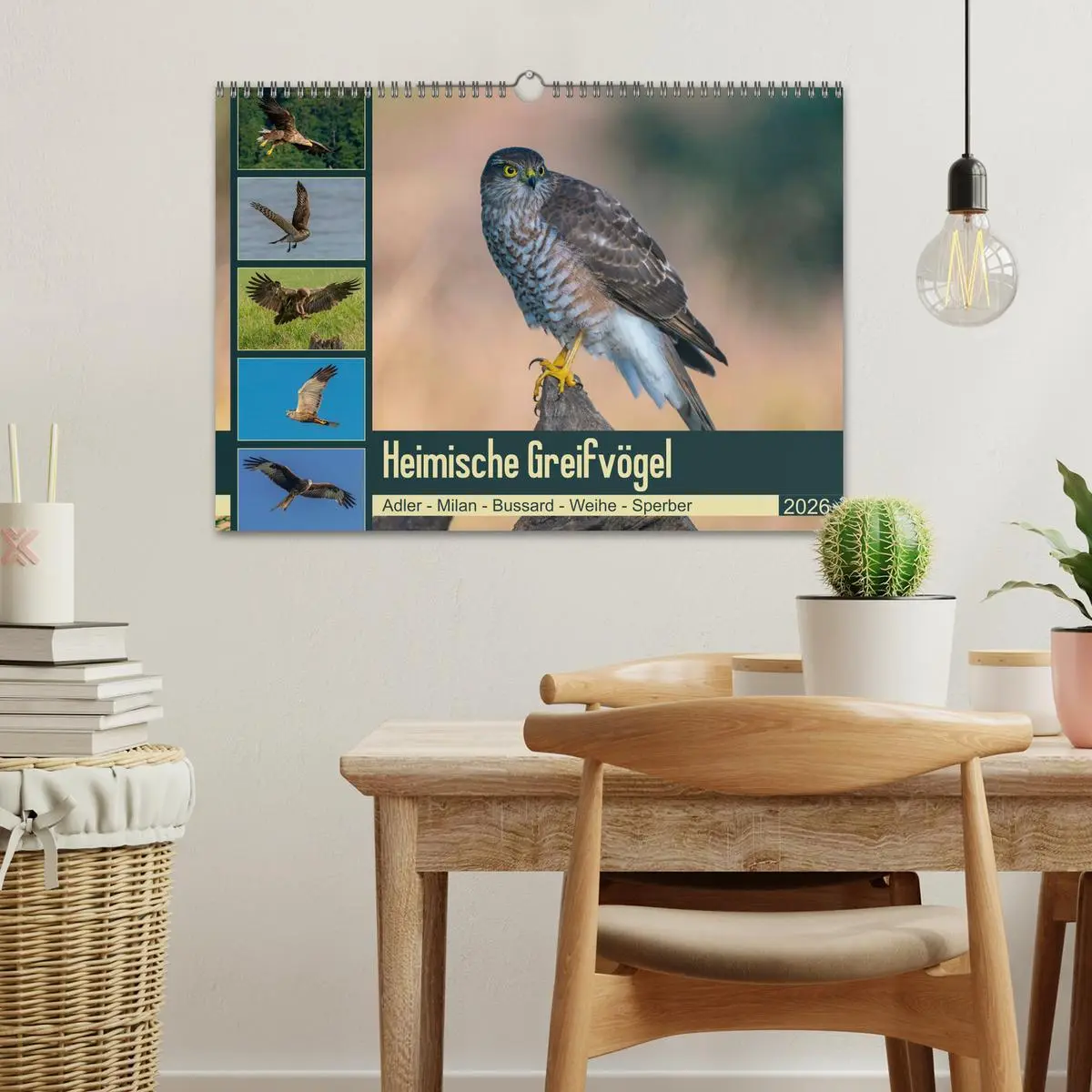 Bild: 9783457677018 | Heimische GREIFVÖGEL Adler Milan Bussard Weihe Sperber...