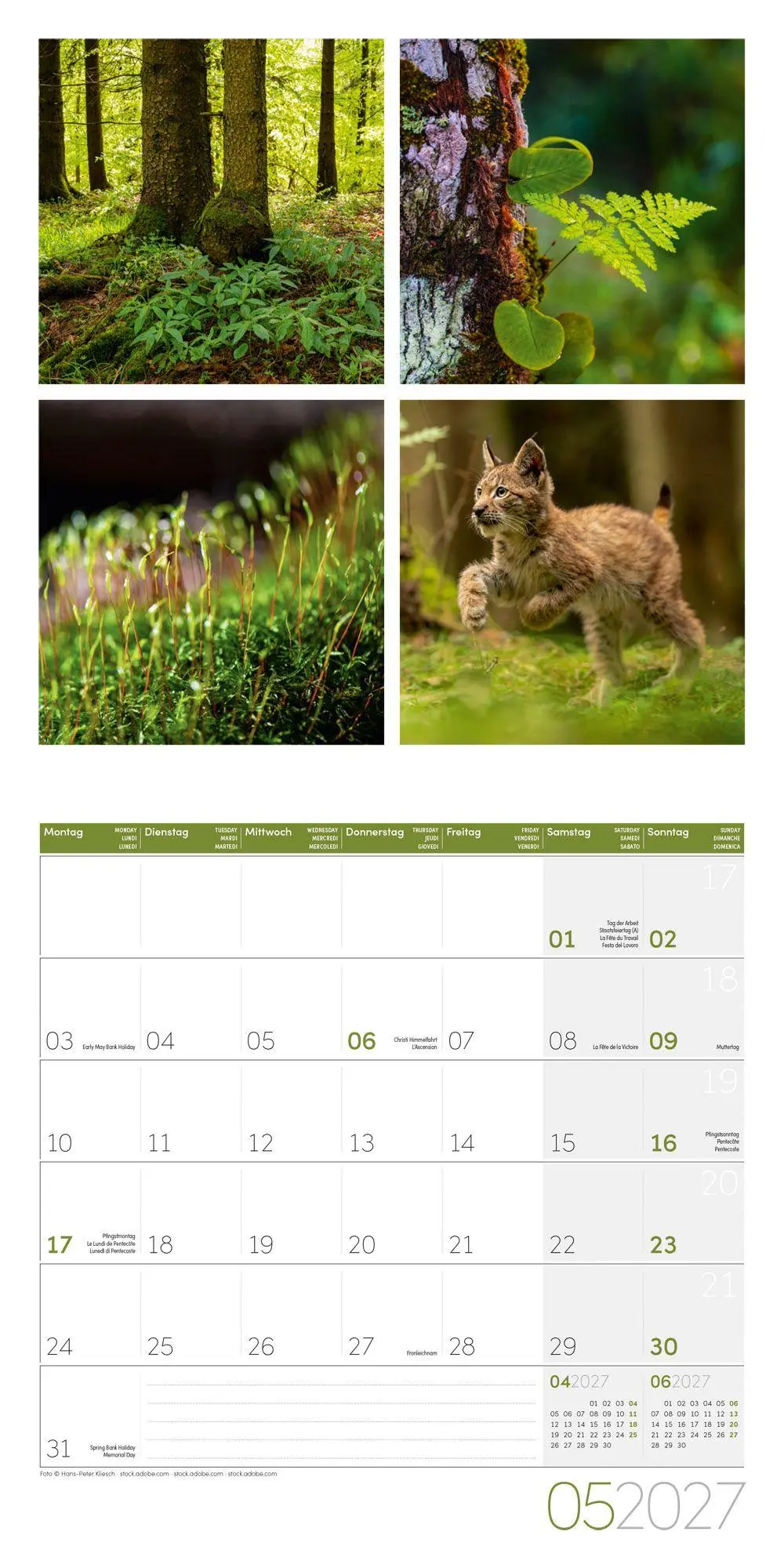 Bild: 9783838447018 | Colours of Nature Kalender 2027 - 30x30 - Art12 | GmbH | Kalender