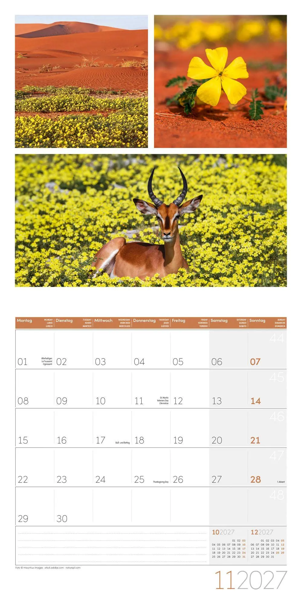 Bild: 9783838447018 | Colours of Nature Kalender 2027 - 30x30 - Art12 | GmbH | Kalender
